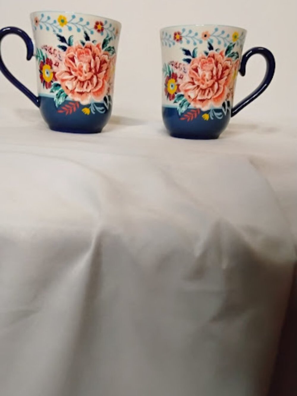 The Pioneer Woman Set. 2.... 18oz mugs 2 10" plates
